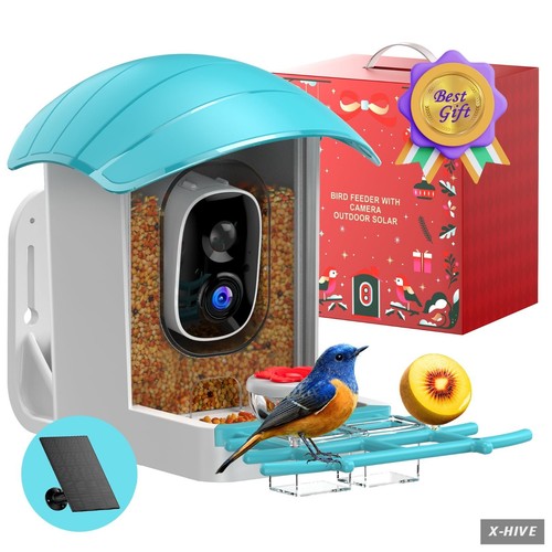 Bird feeder with camera - bird,