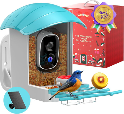 Bird feeder with - bird, camera